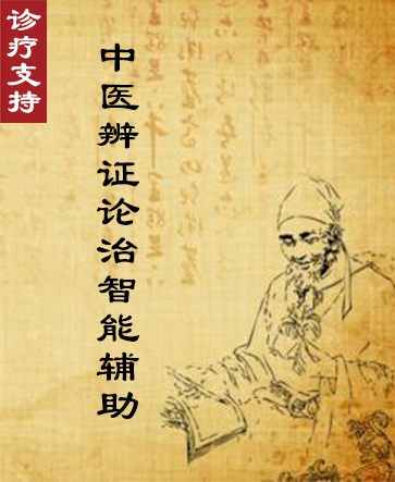 中醫辨證論治智能輔助